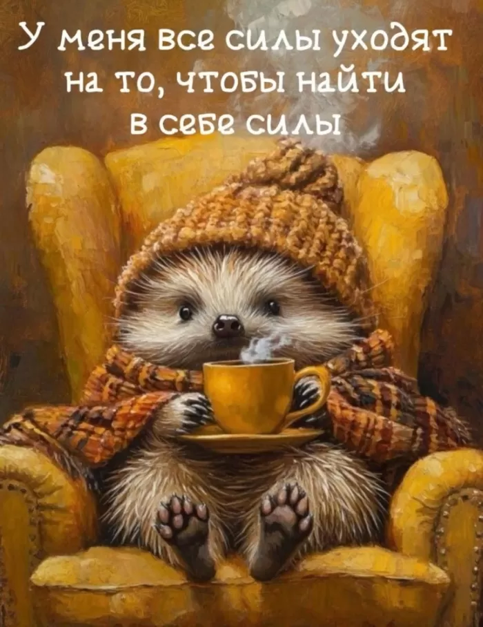 Прикольные картинки для вашего настроения. Картинки для настроения: прикольные и позитивные