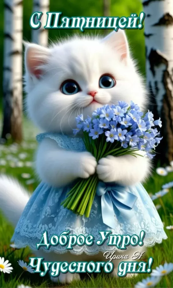 Картинки с Пятницей красивые и прикольные. Красивые картинки "С Пятницей"&nbsp;