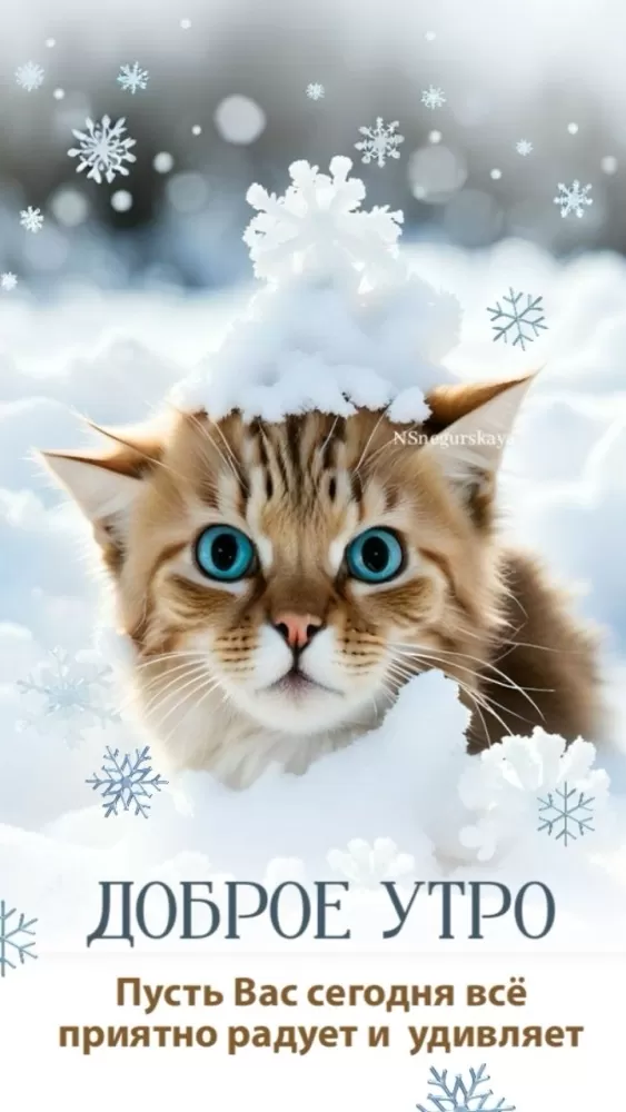 Зимние картинки Доброе утро (50+ штук). Доброе утро - картинки зимние, позитивные
