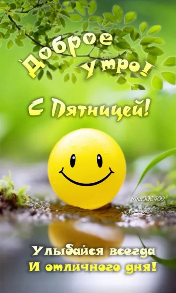 Картинки с Пятницей красивые и прикольные. Прикольные картинки С Пятницей