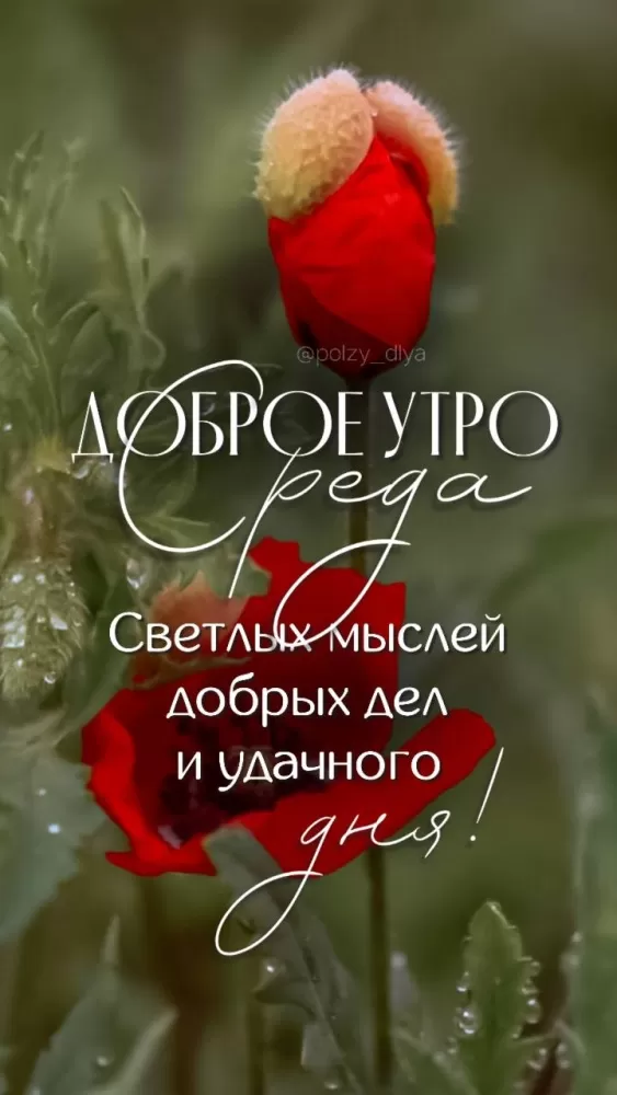 Красивые картинки Доброе утро среды. Доброе утро среда - картинки новые с надписями