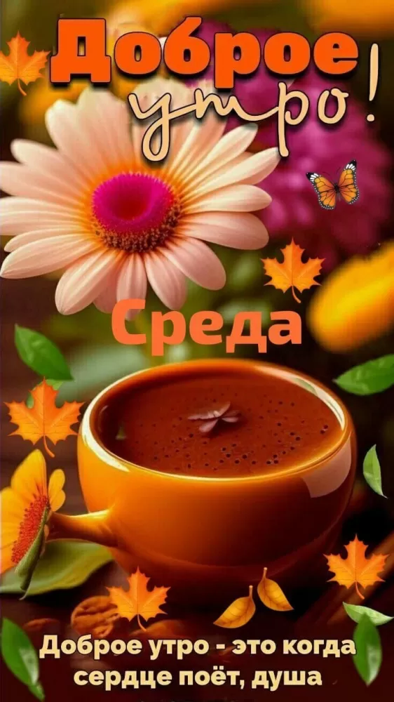 Красивые картинки Доброе утро среды. Картинки с добрым утром среды