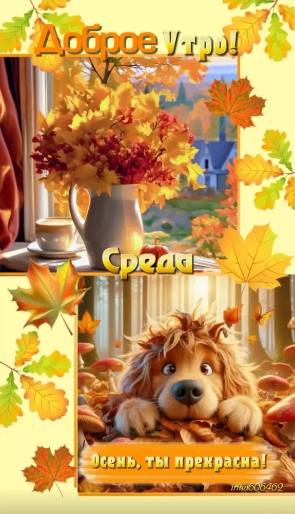 Красивые картинки Доброе утро среды. Осенние картинки Доброе утро среды