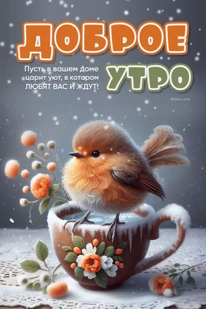Зимние картинки Доброе утро (50+ штук). Доброе утро - картинки зимние, позитивные