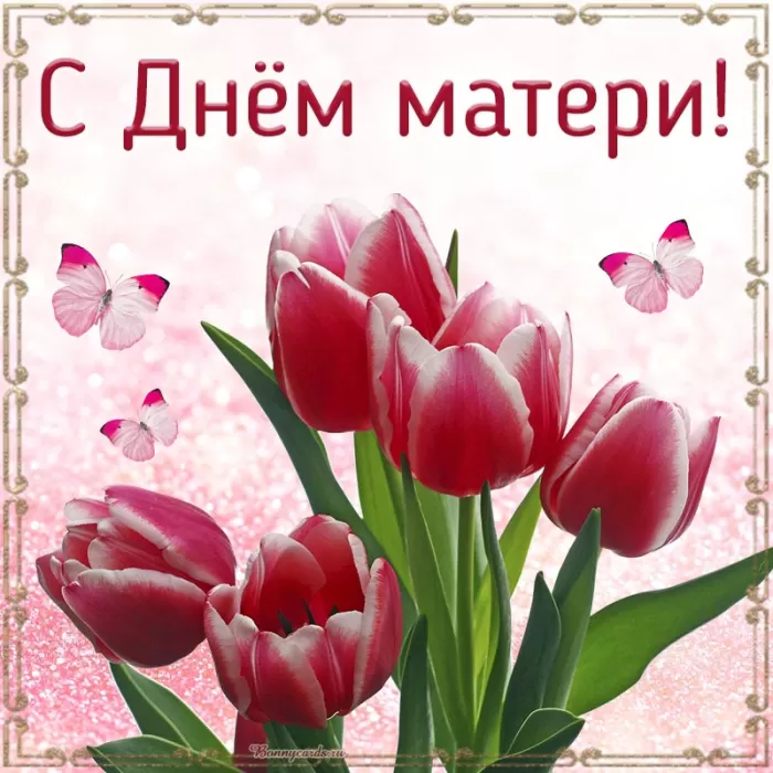 Открытки на День матери (90 картинок с поздравлениями). С Днем матери - картинки для поздравления мам и бабушей