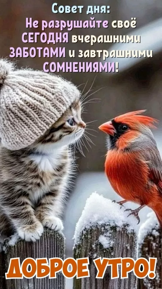 Зимние картинки Доброе утро (50+ штук). Доброе утро - картинки зимние, позитивные