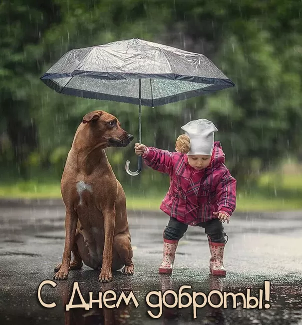 Картинки С Всемирным Днем доброты. Трогательные картинки с Днем добраты
