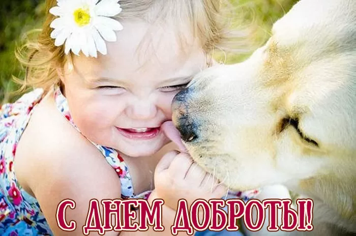 Картинки С Всемирным Днем доброты. Трогательные картинки с Днем добраты