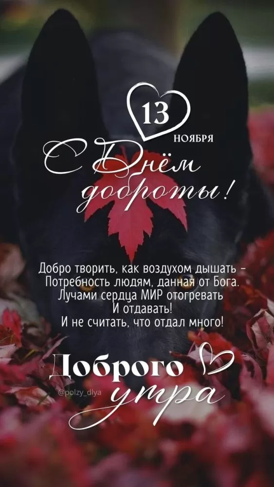 Картинки С Всемирным Днем доброты. Картинки С Всемирным Днем доброты (новые и красивые)