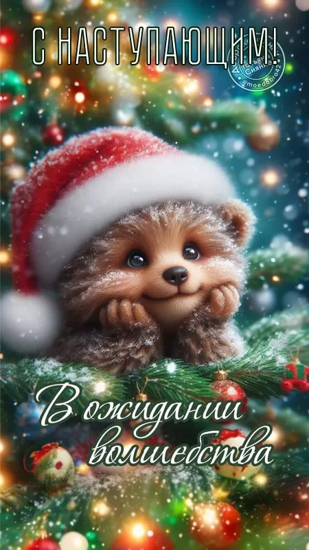 Картинки с Наступающим Новым годом 2026 — красивые открытки и поздравления. Открытки с Наступающим Новым годом (универсальные)