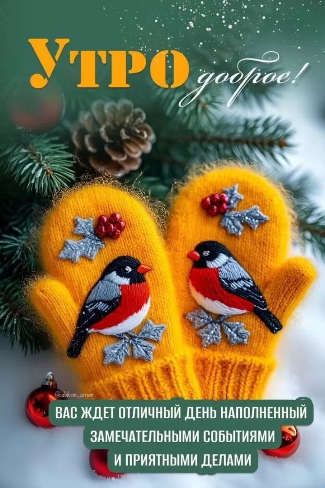 Красивые картинки Доброе февральское утро. Доброе февральское утро: картинки с пожеланиями