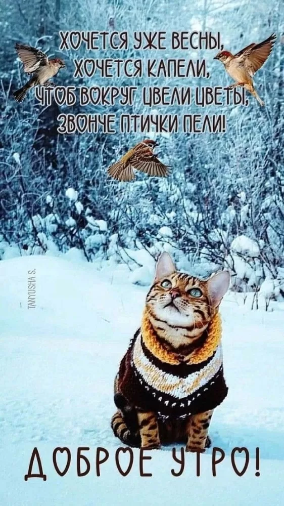 Красивые картинки Доброе февральское утро. Красивые картинки Доброе февральское утро