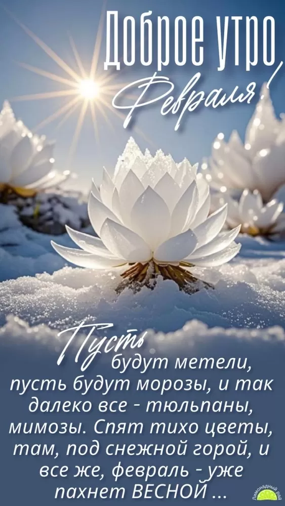 Красивые картинки Доброе февральское утро. Красивые картинки Доброе февральское утро